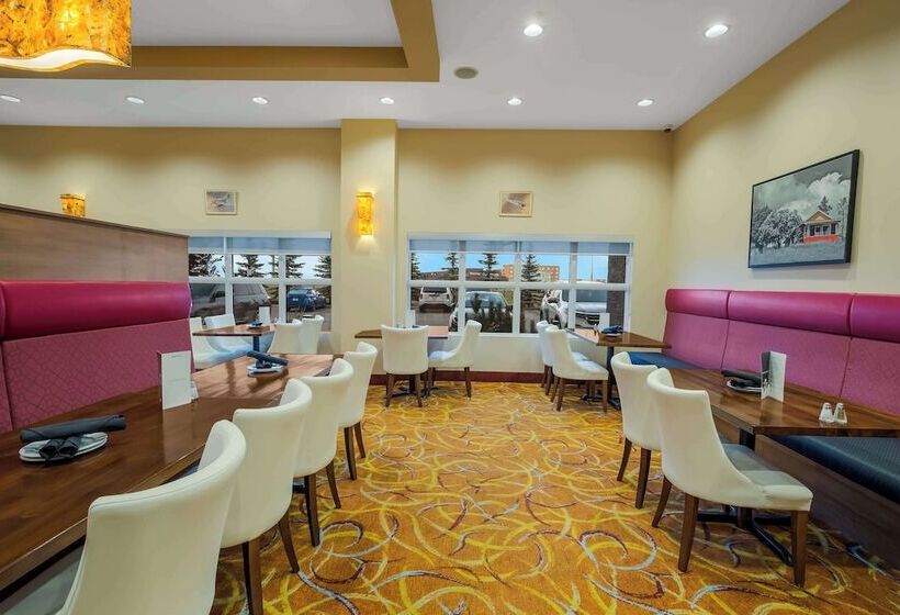 فندق 11, Mod A Sonesta Collection