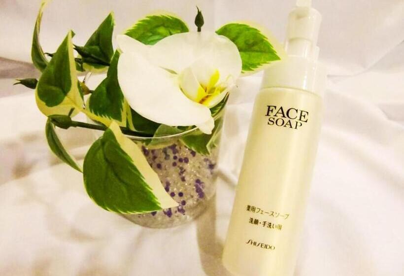 בית מלון כפרי Abest Shin Anjo Ekimae