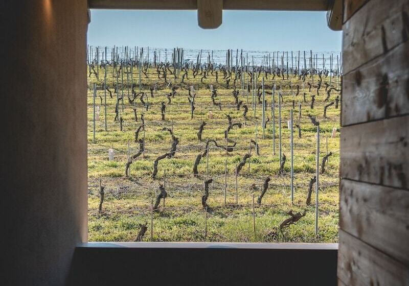 Отель Arborina Relais