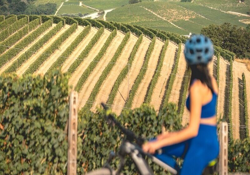 Отель Arborina Relais