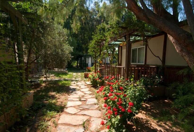 בית מלון כפרי Aspat Termera Resort