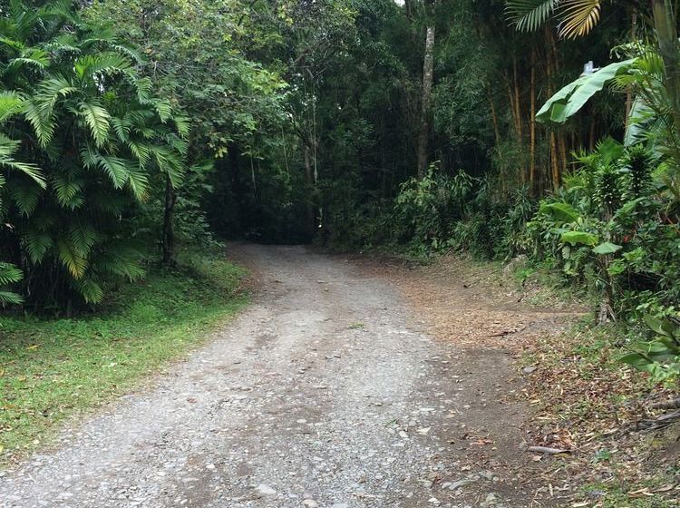 호텔 El Bosque Monteverde