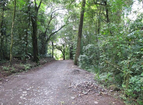 호텔 El Bosque Monteverde