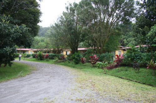 호텔 El Bosque Monteverde