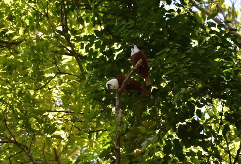 호텔 El Bosque Monteverde