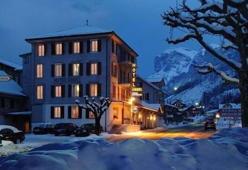 בית מלון כפרי Engel