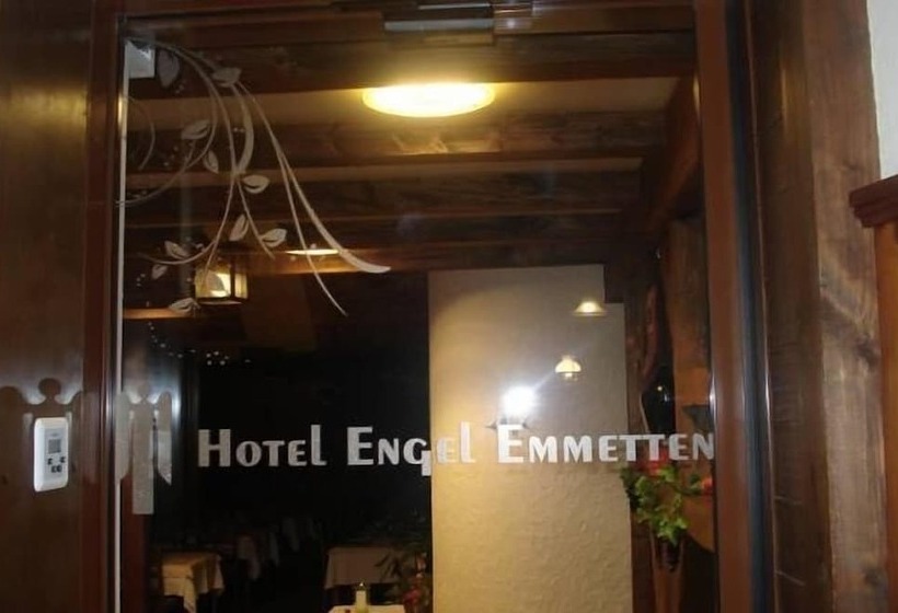 בית מלון כפרי Engel