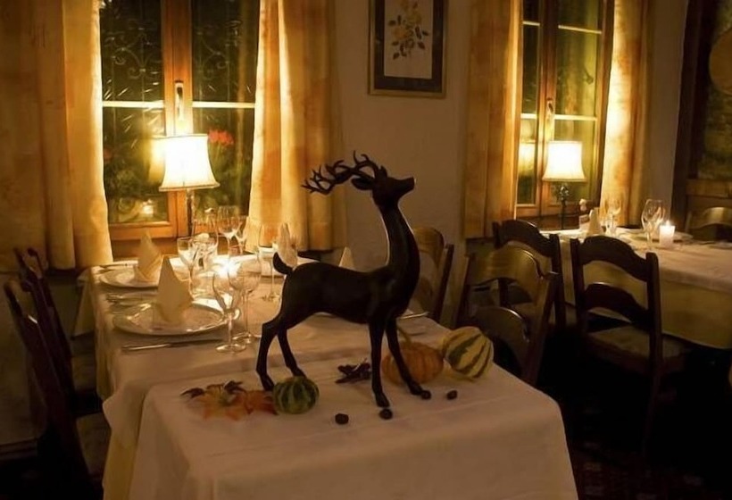 בית מלון כפרי Engel