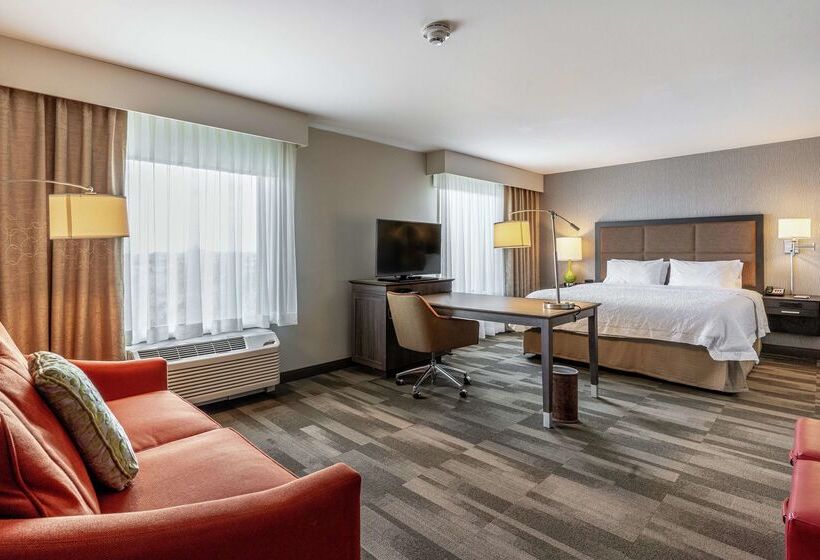 酒店 Hampton Inn & Suites Georgetown/austin North