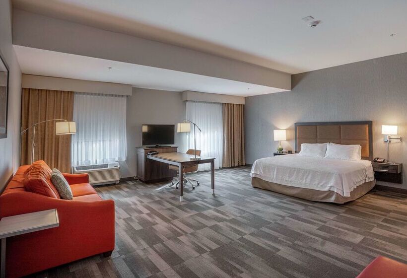 酒店 Hampton Inn & Suites Georgetown/austin North