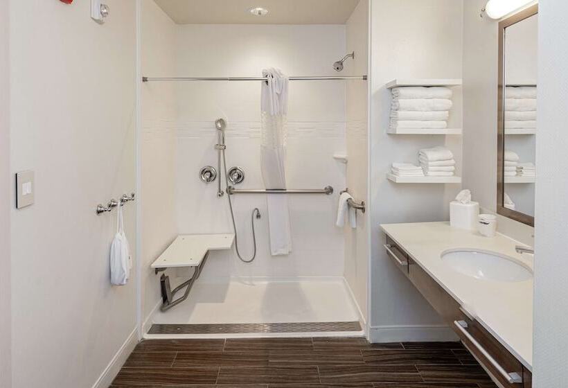 酒店 Hampton Inn & Suites Georgetown/austin North