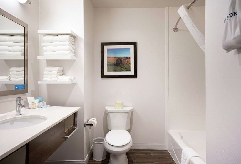 酒店 Hampton Inn & Suites Georgetown/austin North