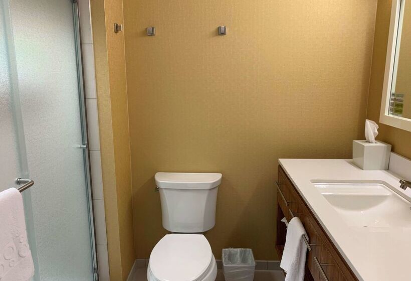 فندق Home2 Suites By Hilton Fort Smith Ar