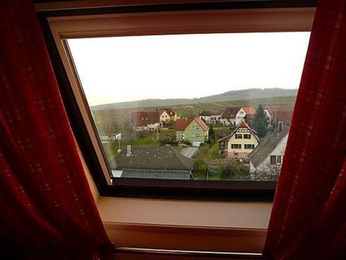 酒店 Hôtel Le Riquewihr