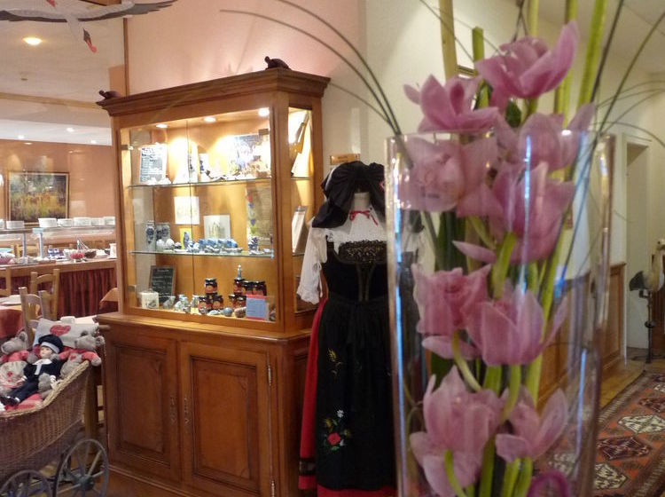 酒店 Hôtel Le Riquewihr