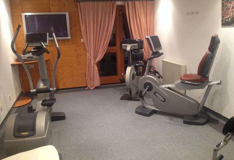 酒店 Hôtel Le Riquewihr