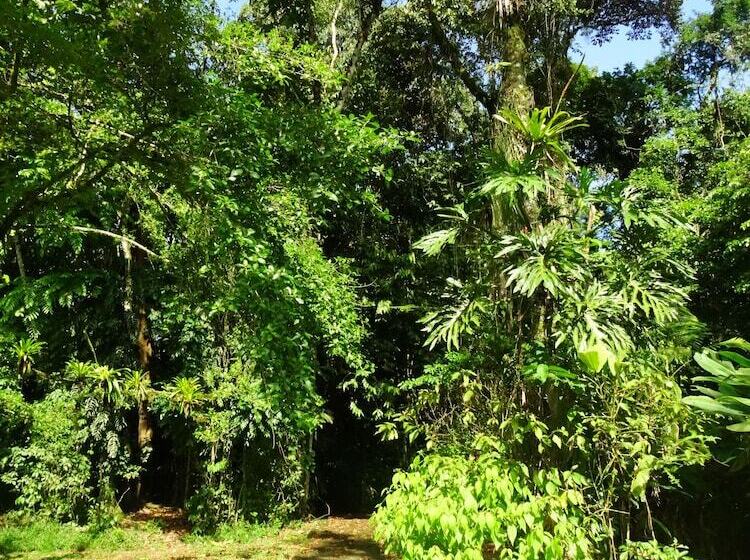 فندق La Selva Biological Station