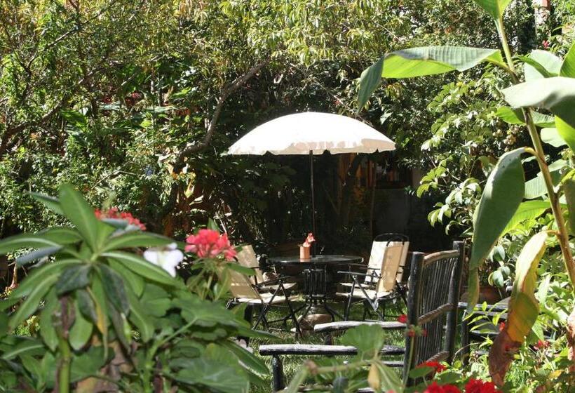 فندق Las Orquideas Ollantaytambo