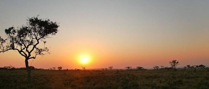 ホテル Lejwe La Metsi Game Farm Pty Ltd