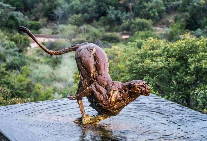 בית מלון כפרי Lejwe La Metsi Game Farm Pty Ltd