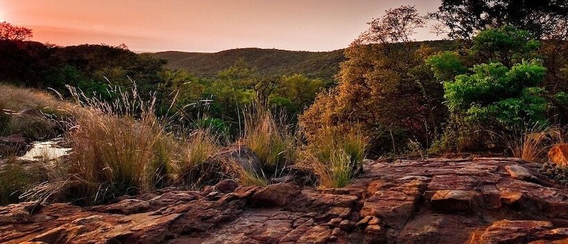 فندق Lejwe La Metsi Game Farm Pty Ltd