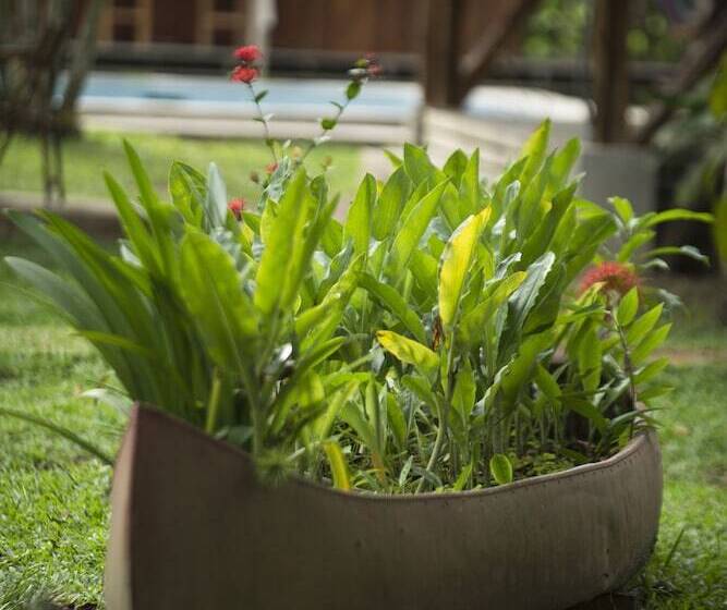 Manish Hotel Ecólogico