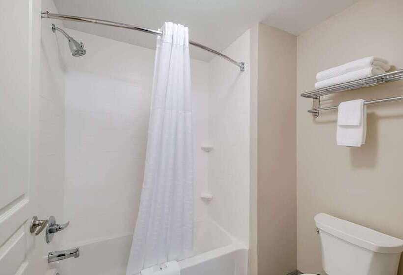 فندق Quality Inn & Suites