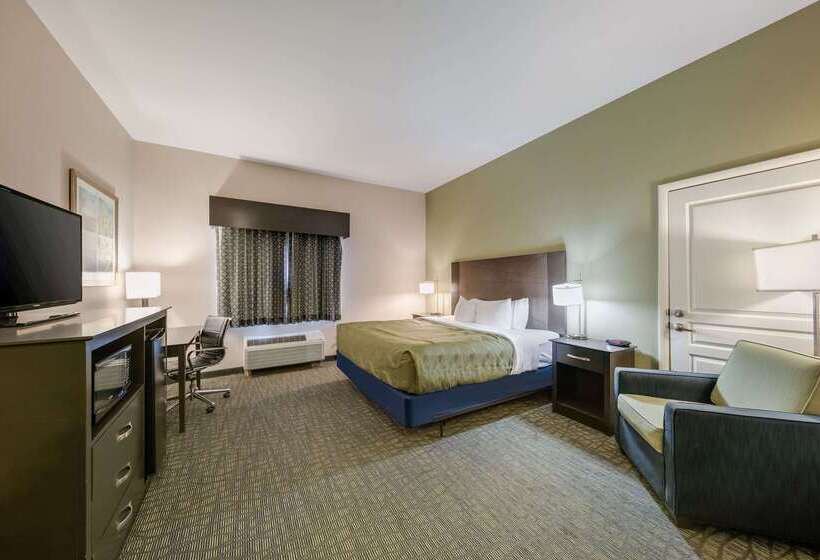 فندق Quality Inn & Suites