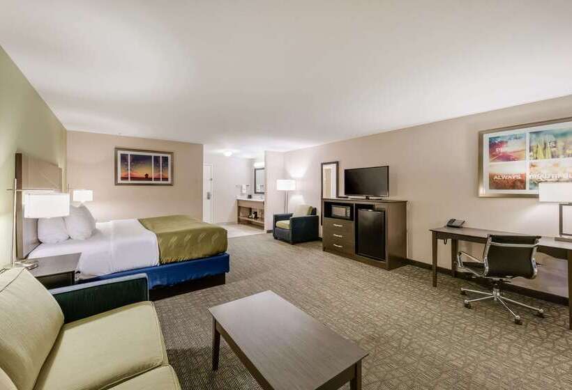 فندق Quality Inn & Suites
