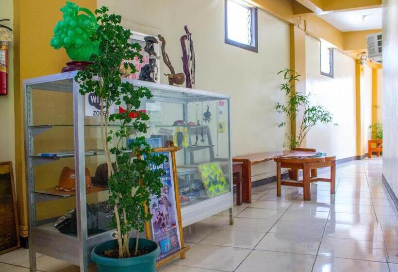 Отель Remari Tourist Inn