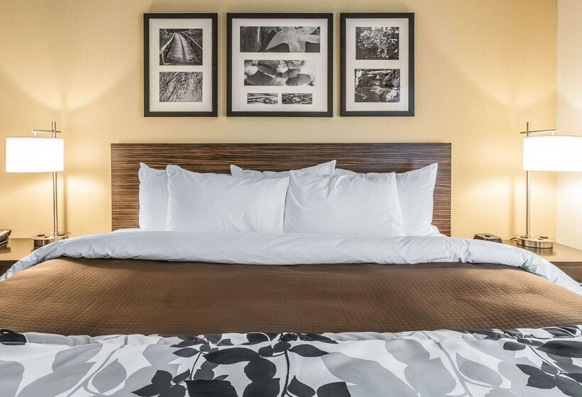 בית מלון כפרי Sleep Inn & Suites Jasper I22