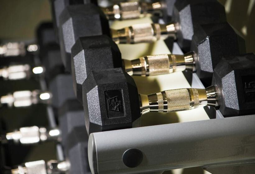 酒店 Springhill Suites By Marriott Houston Westchase