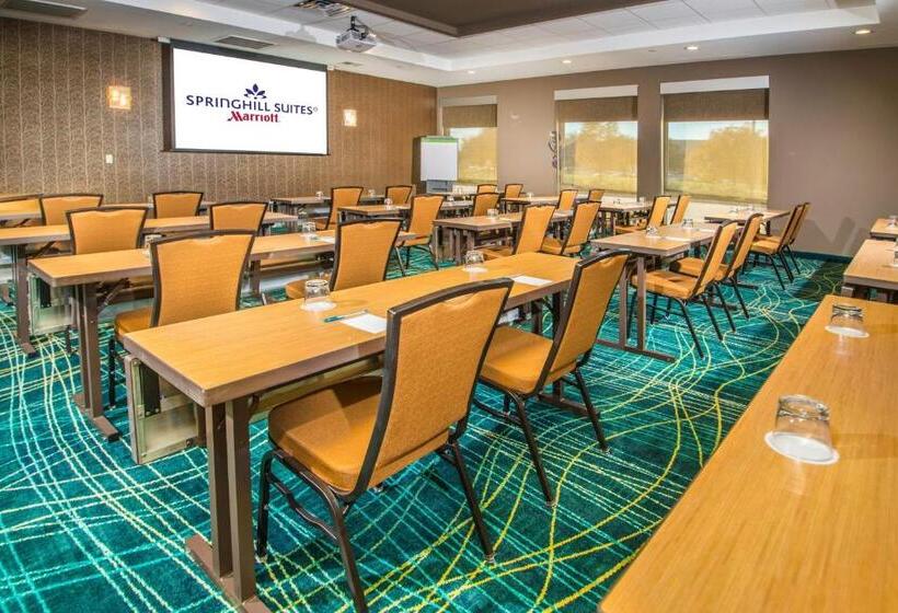 酒店 Springhill Suites By Marriott Houston Westchase