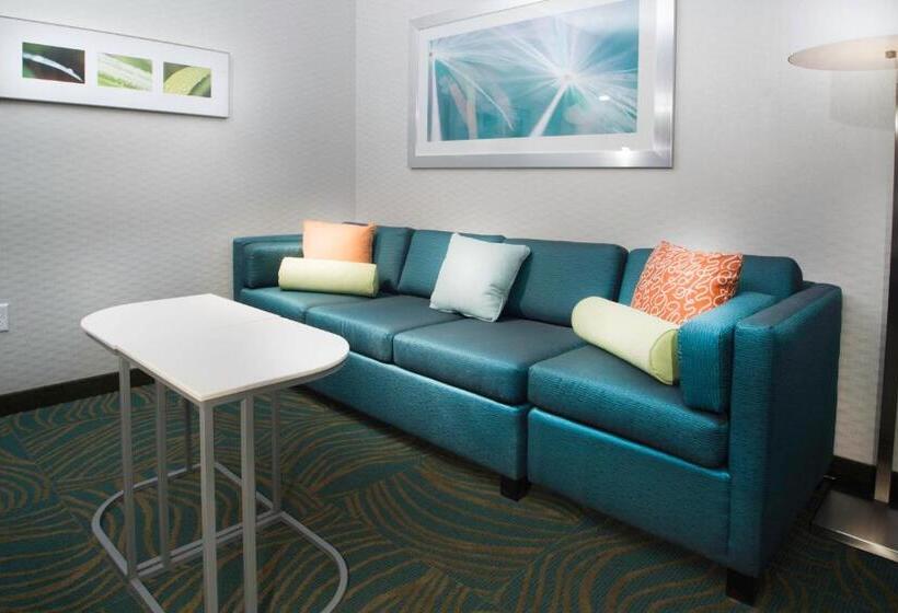 酒店 Springhill Suites By Marriott Houston Westchase