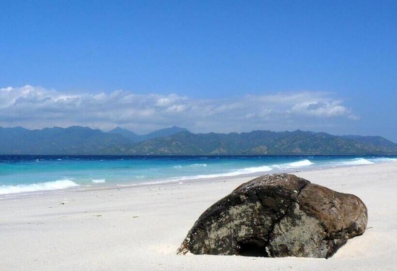 فندق Tamoa Boutique