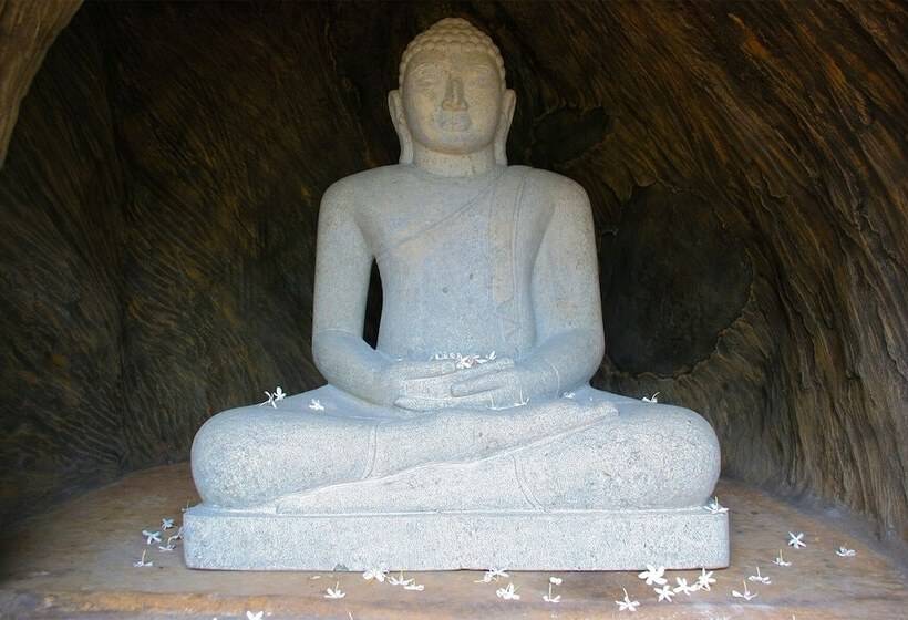 Отель Thaulle Ayurveda Resort   Yala