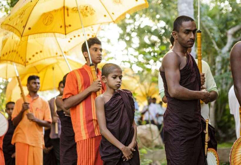 Отель Thaulle Ayurveda Resort   Yala