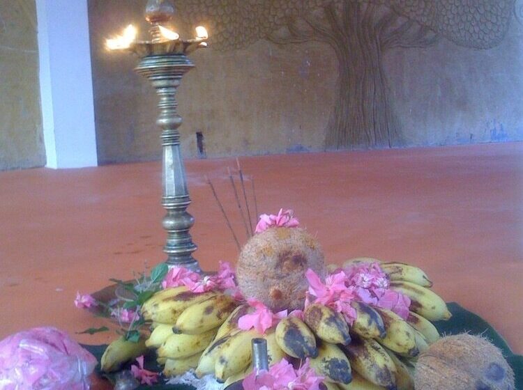 هتل The Eco, The Poolside Beach Retreat