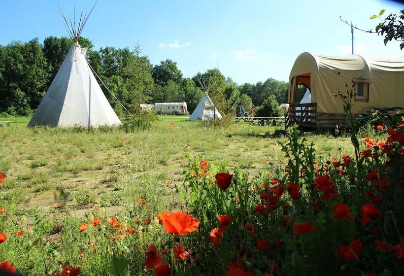 בית מלון כפרי Western City