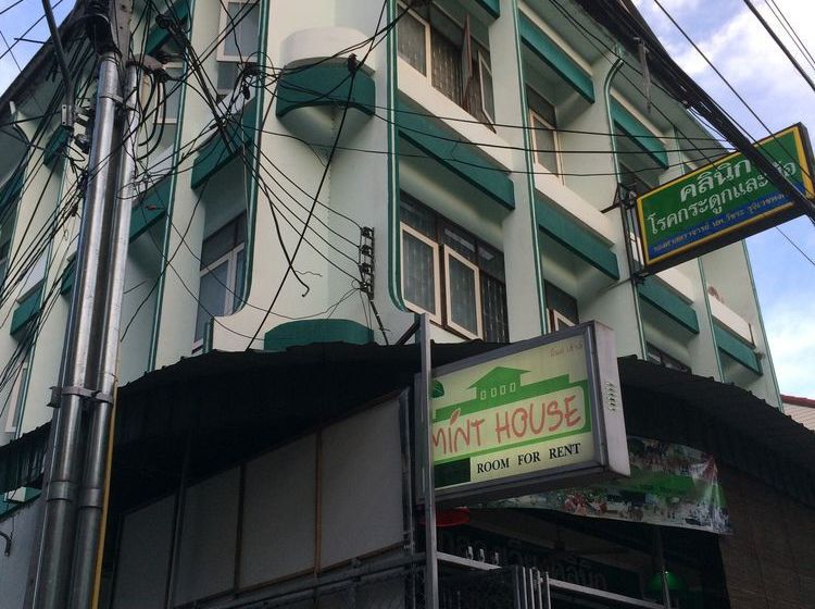 Mint House - Hostel