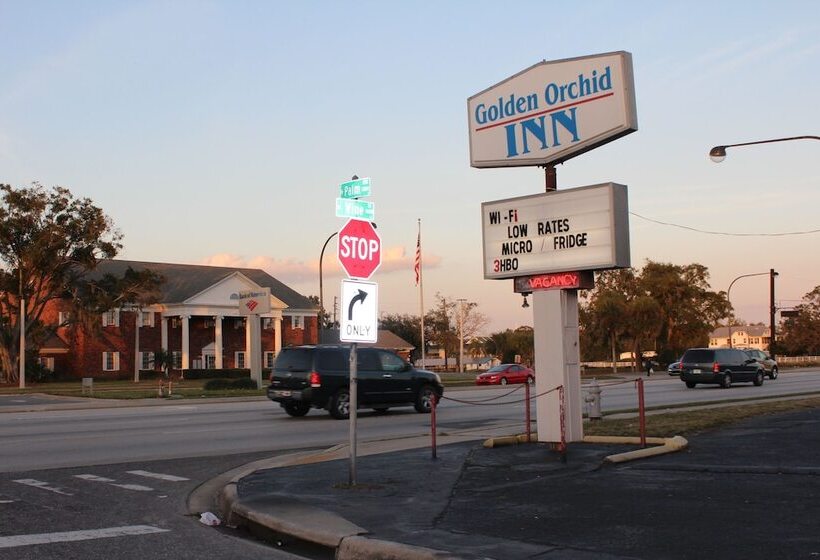 모텔 Golden Orchid Inn