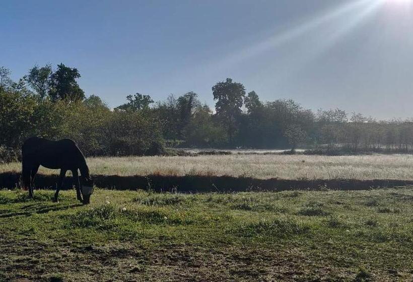 بنسيون Agriturismo Helianthus