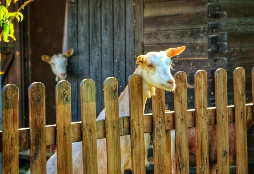 بنسيون Agriturismo Helianthus