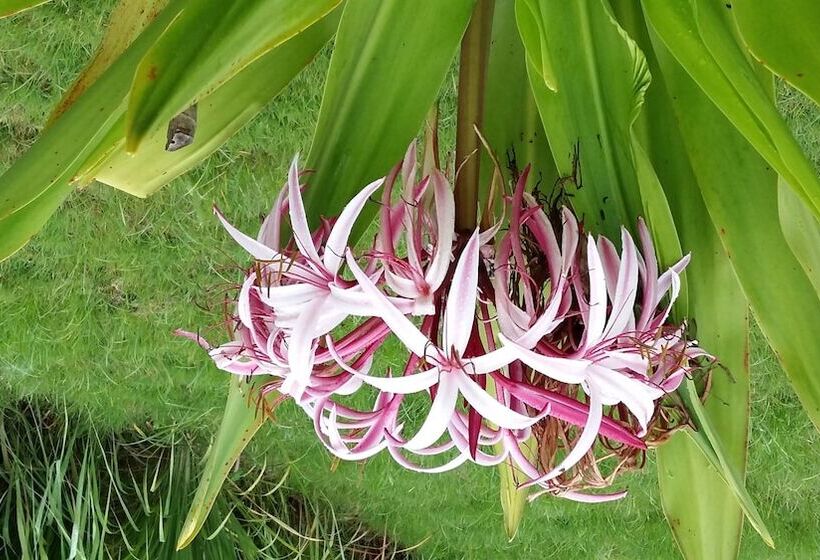 펜션 Baan Sri Chiang Dao