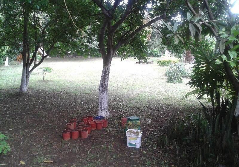 פנסיון Casa Echavarria