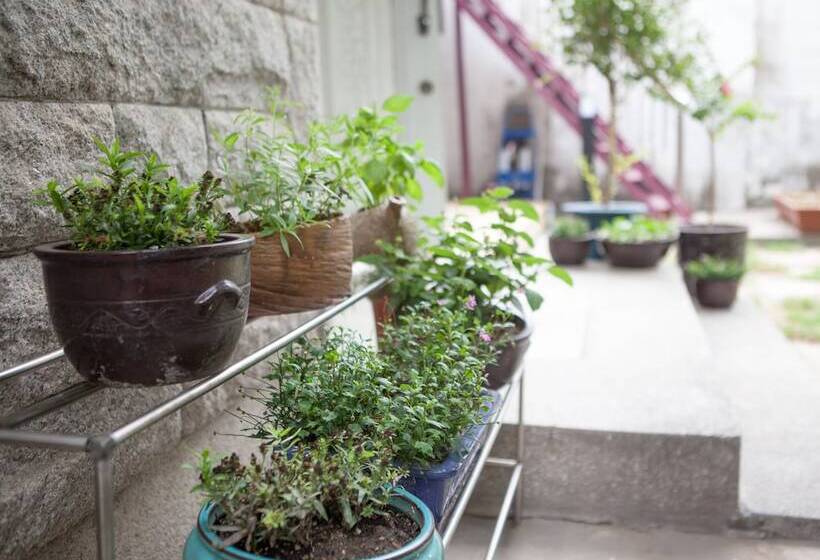 Пансион Hans House