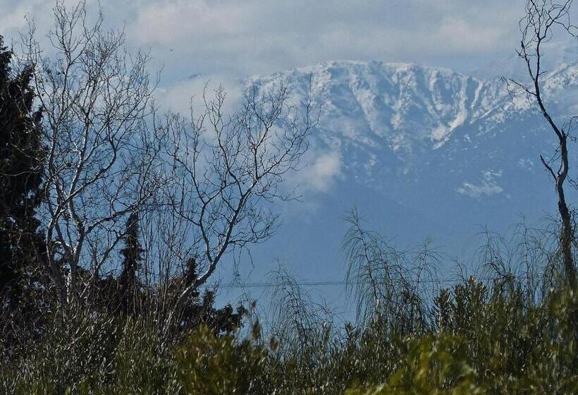 پانسیون Le Cazar