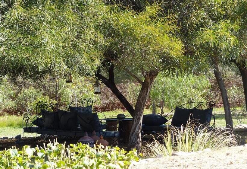 پانسیون Le Cazar