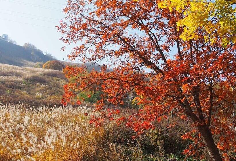 펜션 Otaru Tenguyama