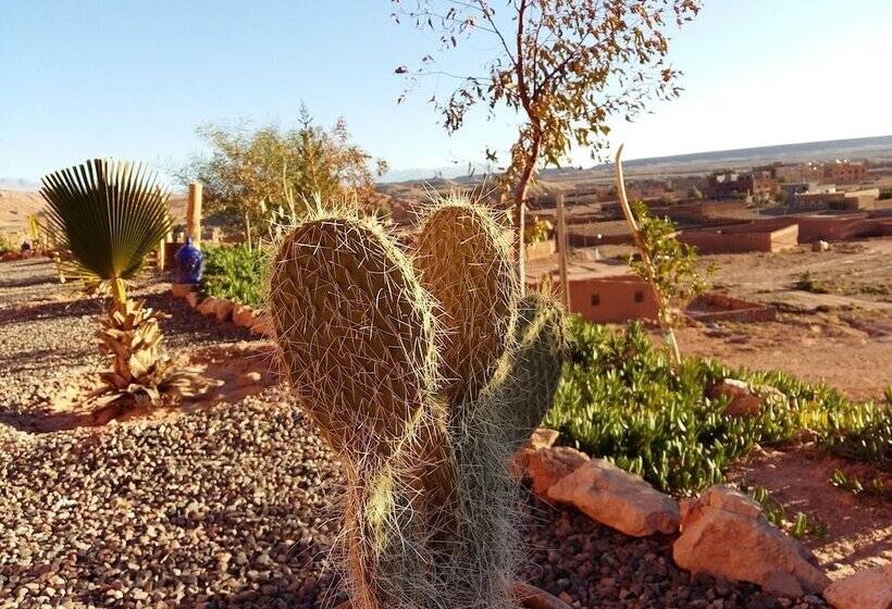 پانسیون Riad Paradise Of Silence